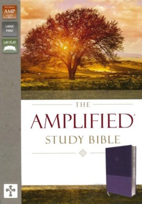 AMPLIFIED STUDY BIBLE - LP REV. PURPLE LS