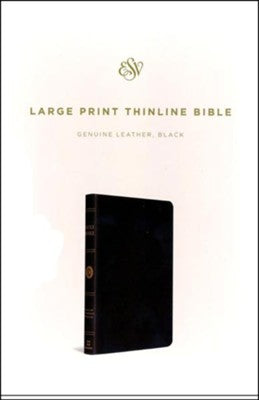 ESV - LP THINLINE BLACK GENUINE LEATHER