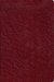 OLD SCOFIELD BIBLE-GEN.LEA/CL/1917KJV/BURG