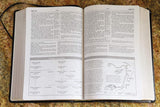 NASB STUDY BIBLE BOND.LEA BLK IND