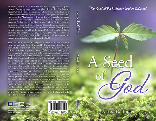 god plants the seed A SEED OF GOD