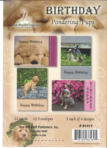 BOXED CARD - BIRTHDAY - PONDERING PUPS