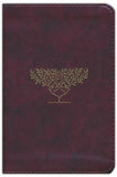 ESV - COMPACT BURG. OLIVE TREE