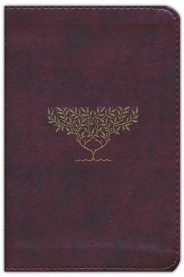 ESV - COMPACT BURG. OLIVE TREE