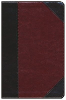 ESV - STUDENT STUDY - BROWN CORDOVAN