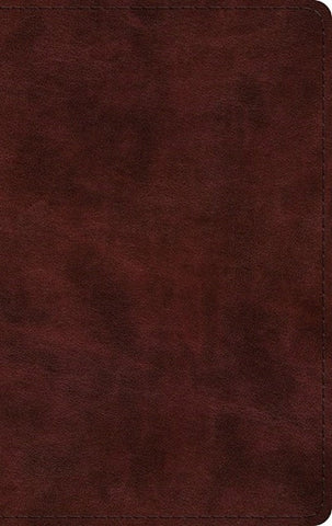ESV - LP THINLINE MAHOGANY