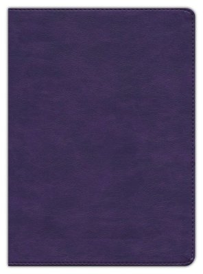 KJV - STUDY FULL COLOUR PLUM LT