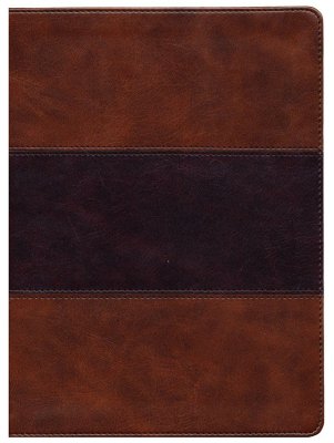 KJV - STUDY FULL COLOUR SADDLE BROWN LT IND