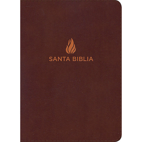 SP - RVR 1960 GP BROWN BL - SANTA BIBLIA