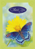 BOXED CARDS - THANK YOU - WITH GRATITUDE