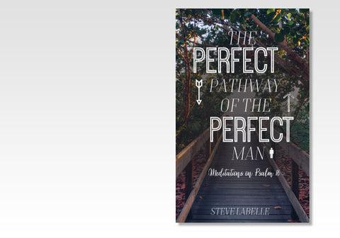 PERFECT PATHWAY OF THE PERFECT MAN - STEVE LABELLE