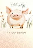 BOXED CARDS - BD - CUTE CRITTERS JUVENILE