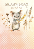 BOXED CARDS - BD - CUTE CRITTERS JUVENILE