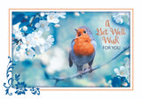 BOXED CARDS - GW - SONG BIRDS