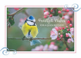 BOXED CARDS - GW - SONG BIRDS