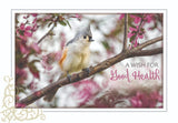 BOXED CARDS - GW - SONG BIRDS