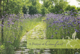 BOXED CARDS - SYM - PATHWAYS