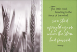 BOXED CARDS - PFY - MOMENTS IN PRAYER