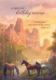 BOXED CARDS - BD - HEARTLANDS