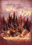 BOXED CARDS - BD - HEARTLANDS