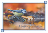 BOXED CARDS - BD - SONG BIRDS