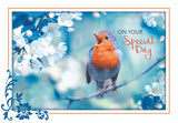 BOXED CARDS - BD - SONG BIRDS
