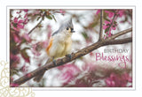 BOXED CARDS - BD - SONG BIRDS