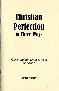 CHRISTIAN PERFECTION IN THREE WAYS - BRUCE ANSTEY