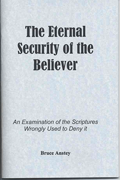 ETERNITY SECURITY OF THE BELIEVER- BRUCE ANSTEY