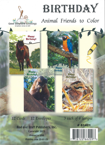 BOXED CARD - BIRTHDAY - ANIMAL FRIENDS TO COLOUR - KIDS