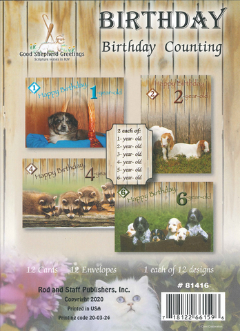 BOXED CARD - BIRTHDAY - BIRTHDAY COUNTING - KIDS