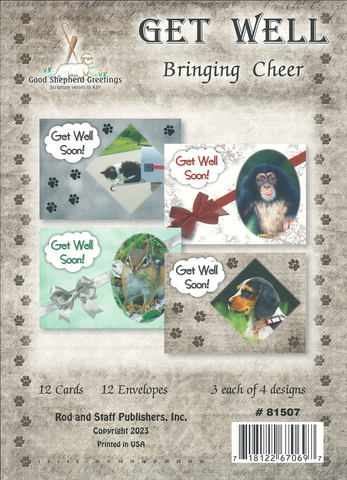 BOXED CARD - GET WELL - BRINGING CHEER