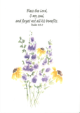 CARDS-WATERCOLOUR PRINTS SET OF 3