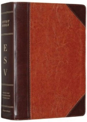 ESV - STUDY PERSONAL SIZE BIBLE BROWN/CORD