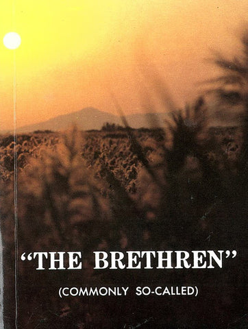 THE BRETHREN, ANDREW MILLER- Paperback