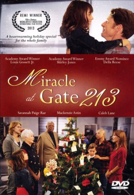 MIRACLE AT GATE 213 DVD