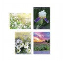 BOXED CARDS - SYMPATHY- FLORAL