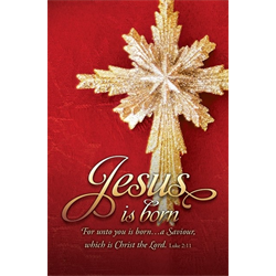 CHRISTMAS BULLETIN - JESUS IS BORN