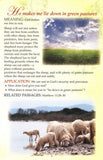 PAMPHLET - PSALM 23