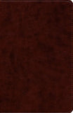 ESV - STUDENT STUDY BIBLE CHESTNUT