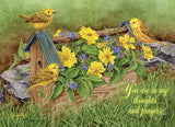 BOXED CARDS - TOY - BIRDS