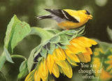 BOXED CARDS - TOY - BIRDS