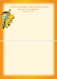 BOXED CARDS - TOY - BIRDS