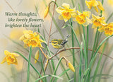 BOXED CARDS - TOY - BIRDS