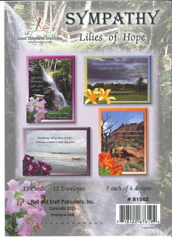 BOXED CARD - SYMPATHY - LILIES OF HOPE