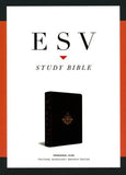 ESV - STUDY BIBLE PERSONAL BURG. BRANCH