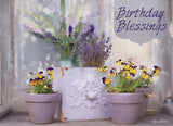 BOXED CARDS - BD - FLORAL CELEBRATION