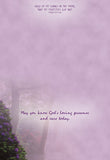 BOXED CARDS - TOY - PEACEFUL PATHS