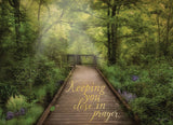 BOXED CARDS - TOY - PEACEFUL PATHS