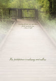 BOXED CARDS - TOY - PEACEFUL PATHS